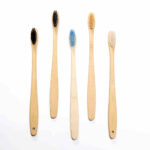 Bamboo Toothbrush 1